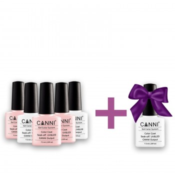 Набір гель-лаків Canni 5 + 1 в подарунок