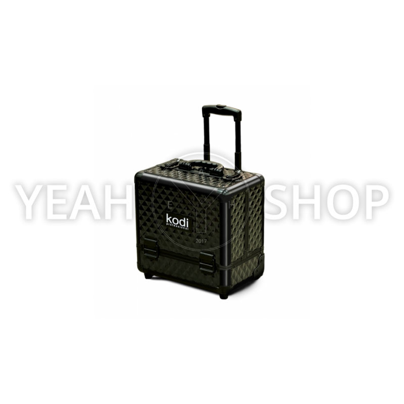 Кейс (чемодан) для косметики Kodi №9 купить по лучшей цене в Украине